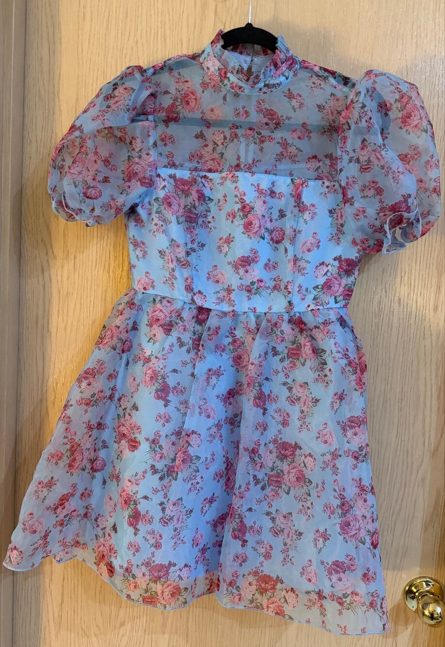 SHEIN Size 4 Floral Puff Sleeve Mini Dress Sierra Ferrell Prairie Cottagecore
